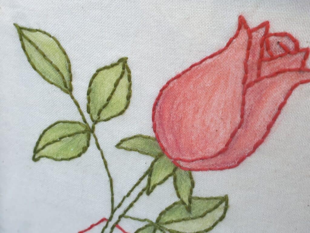 Close Up Rose