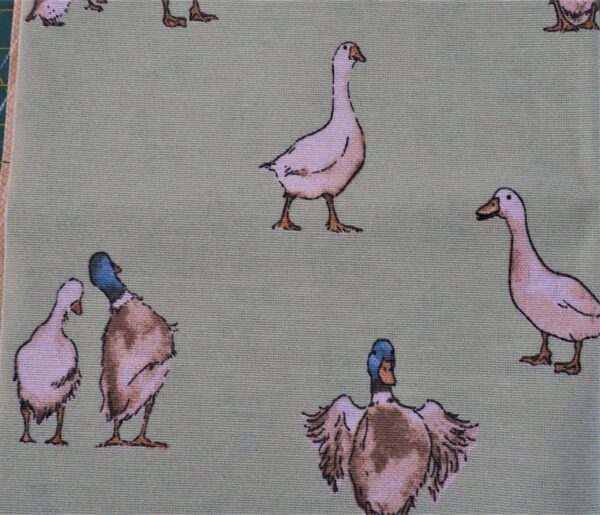 Duck Fabric