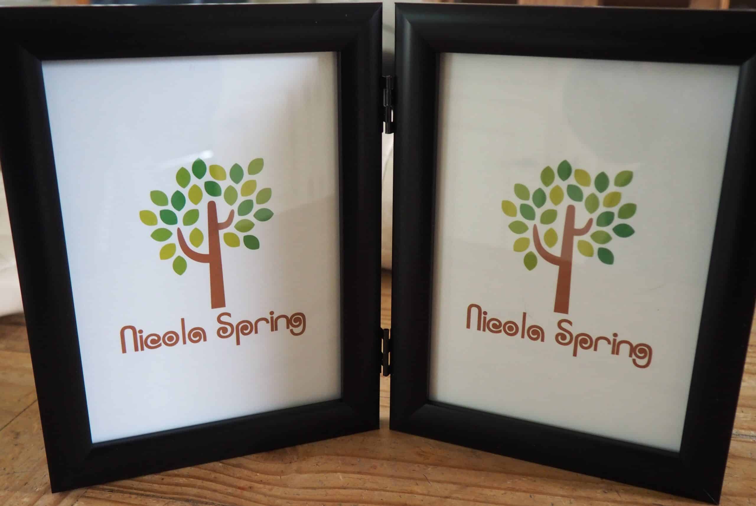 Free Standing Twin Frame